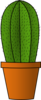 Cactus Crisp Image